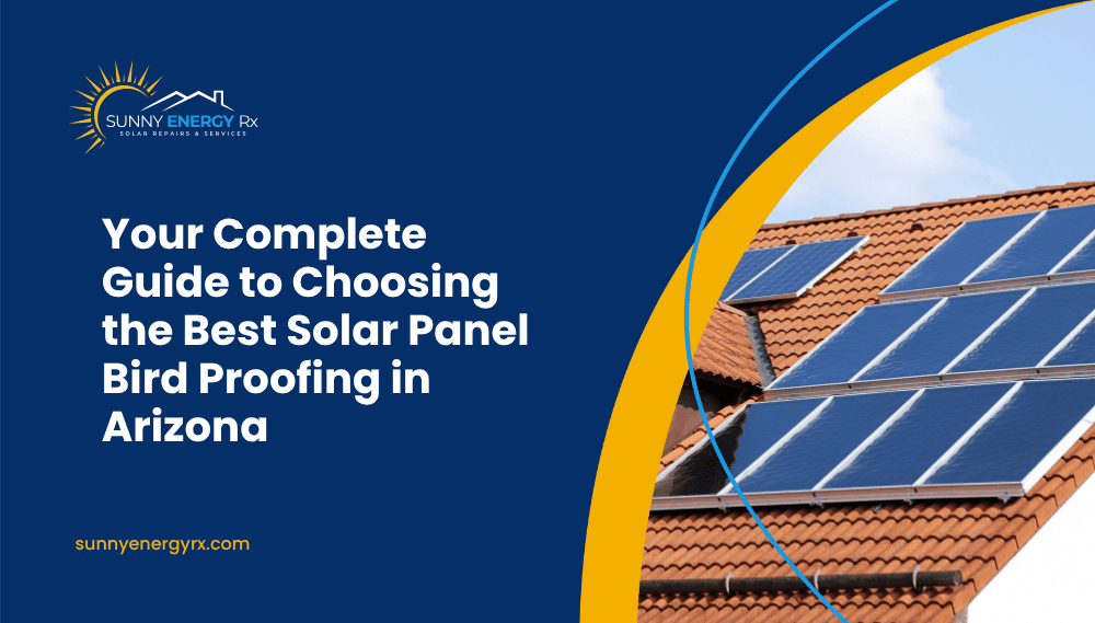 Your Complete Guide to Choosing the Best Solar Panel Bird Proofing in Arizona